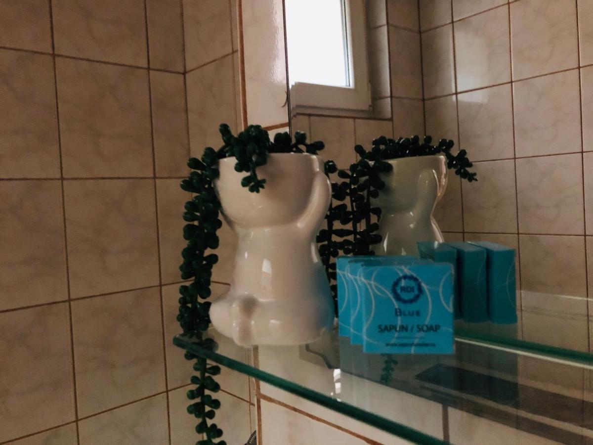 Ana-Maria Home Ramnicu Valcea Ngoại thất bức ảnh